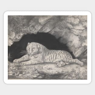 Tiger Lying in the Entrance of a Cave by Elizabeth Pringle Sticker